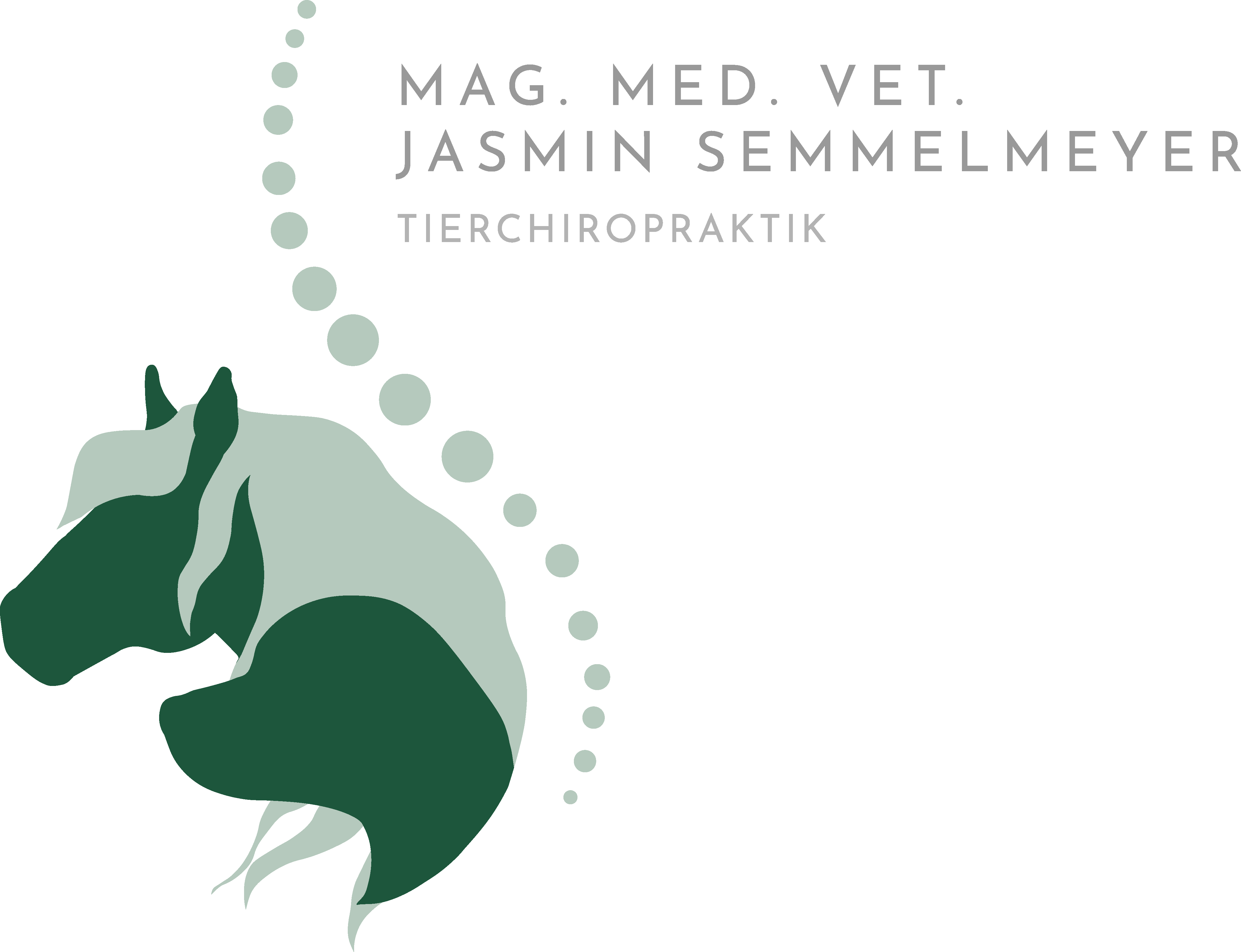 Tierchiropraktik 